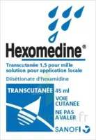 Hexomedine Transcutanee 1,5 Pour Mille, Solution Pour Application Locale à Noé