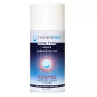 Thermcool Spray Froid Fl/300ml à Noé